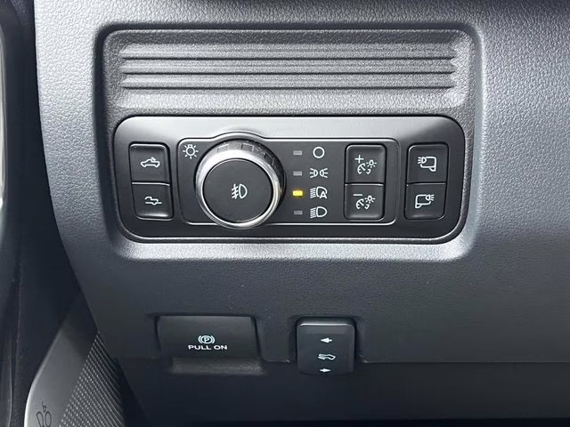 2026 Avalanche Ford Super Duty F-250 SRW Platinum 4X4 Truck