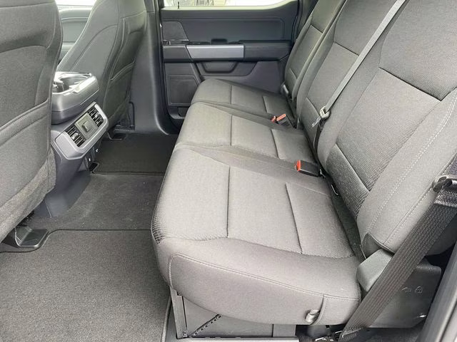 2025 Agate Black Metallic Ford F-150 XLT 4X4 Truck