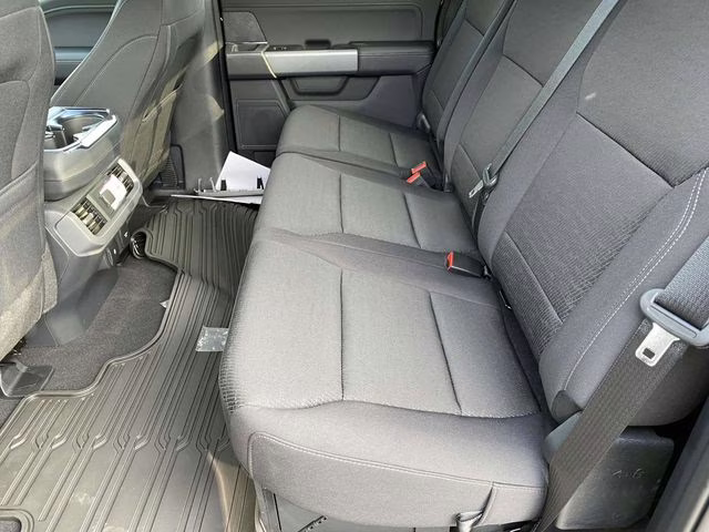 2025 Agate Black Metallic Ford F-150 XLT 4X4 Truck