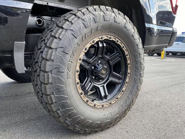 2025 Agate Black Metallic Ford F-150 XLT 4X4 Truck