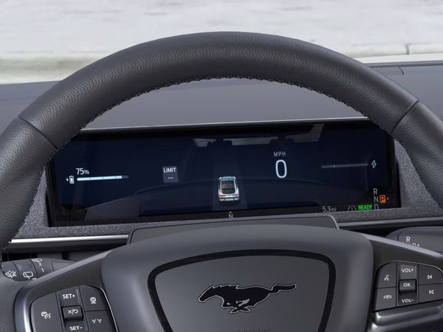 2025 Molten Magenta Metallic Tinted Clearcoat Ford Mustang Mach-E Premium RWD SUV