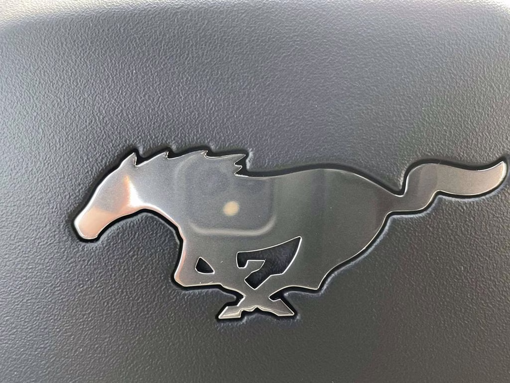 2026 Shadow Black Ford Mustang EcoBoost RWD Coupe