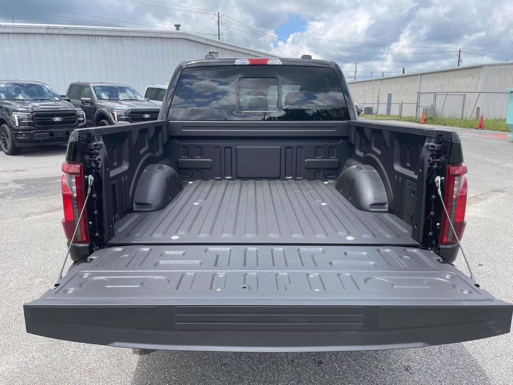 2025 Black Metallic Ford F-150 XLT 4X4 Truck