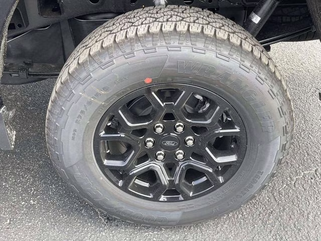 2025 Black Metallic Ford F-150 XLT 4X4 Truck