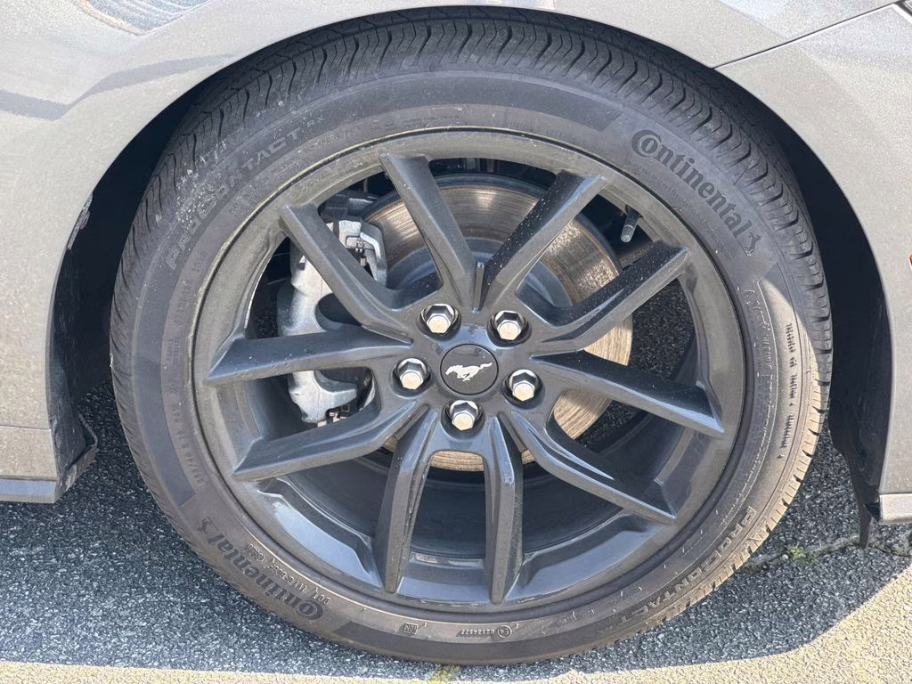 2026 Gray Metallic Ford Mustang EcoBoost RWD Coupe