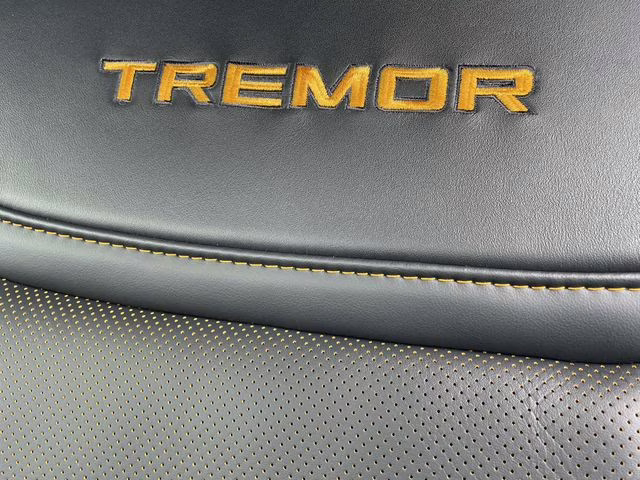 2025 Black Metallic Ford F-150 Tremor 4X4 Truck