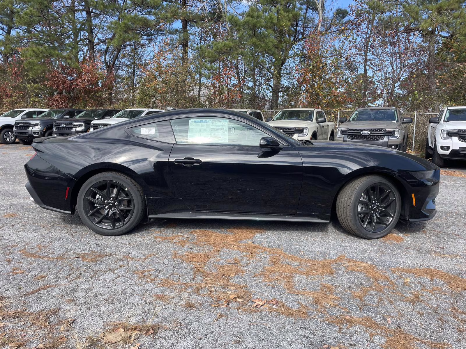 2026 Shadow Black Ford Mustang EcoBoost RWD Coupe