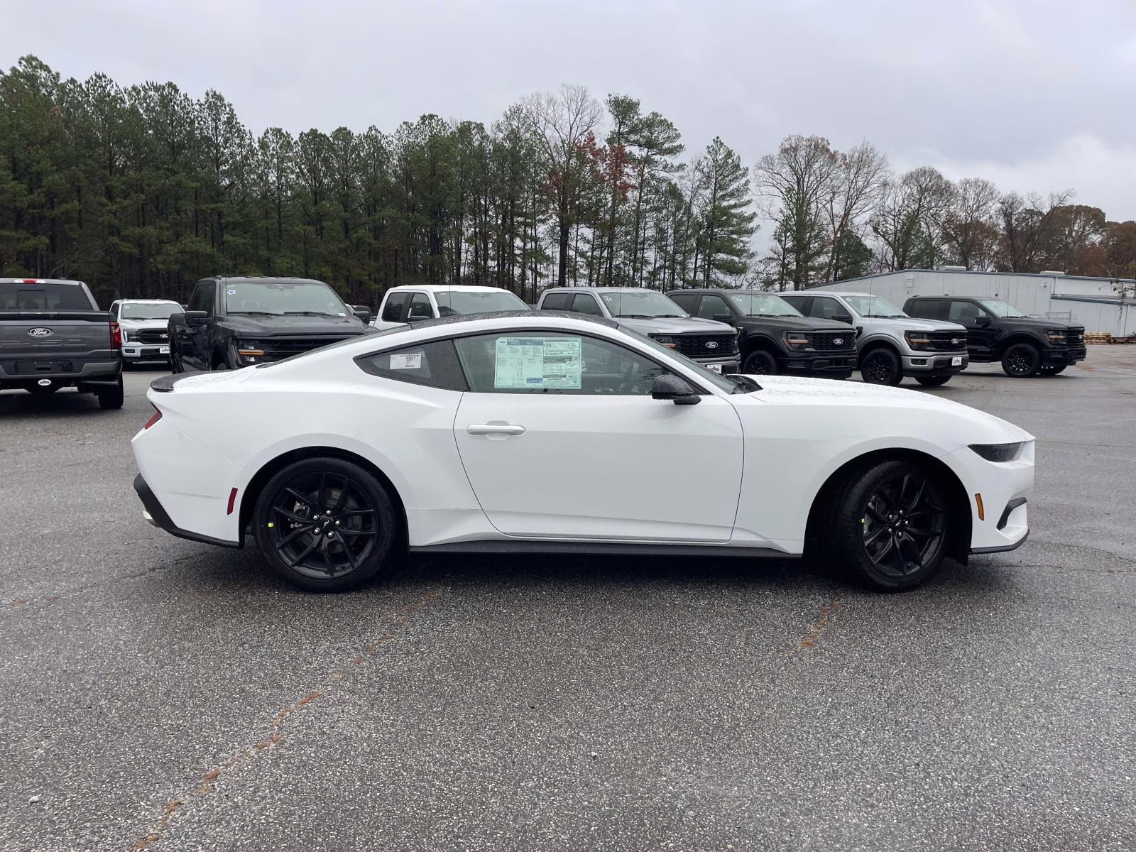 2026 Oxford White Ford Mustang EcoBoost RWD Coupe