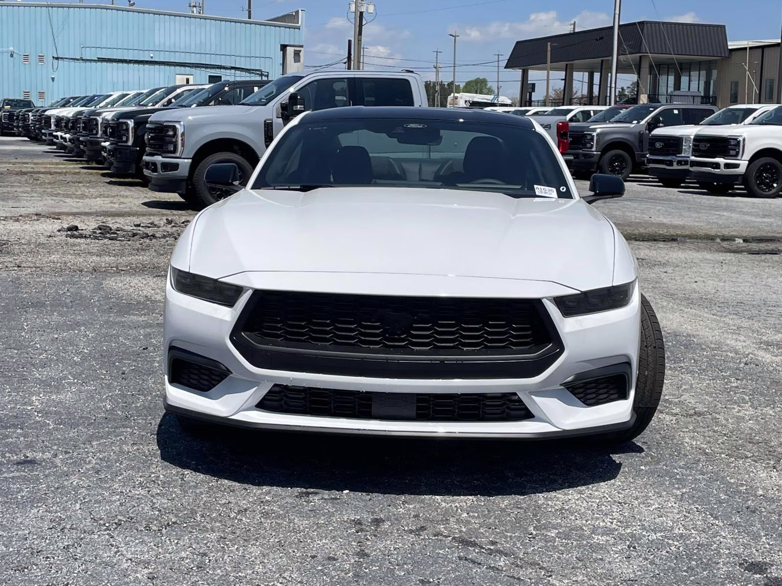 2025 Oxford White Ford Mustang EcoBoost RWD Coupe