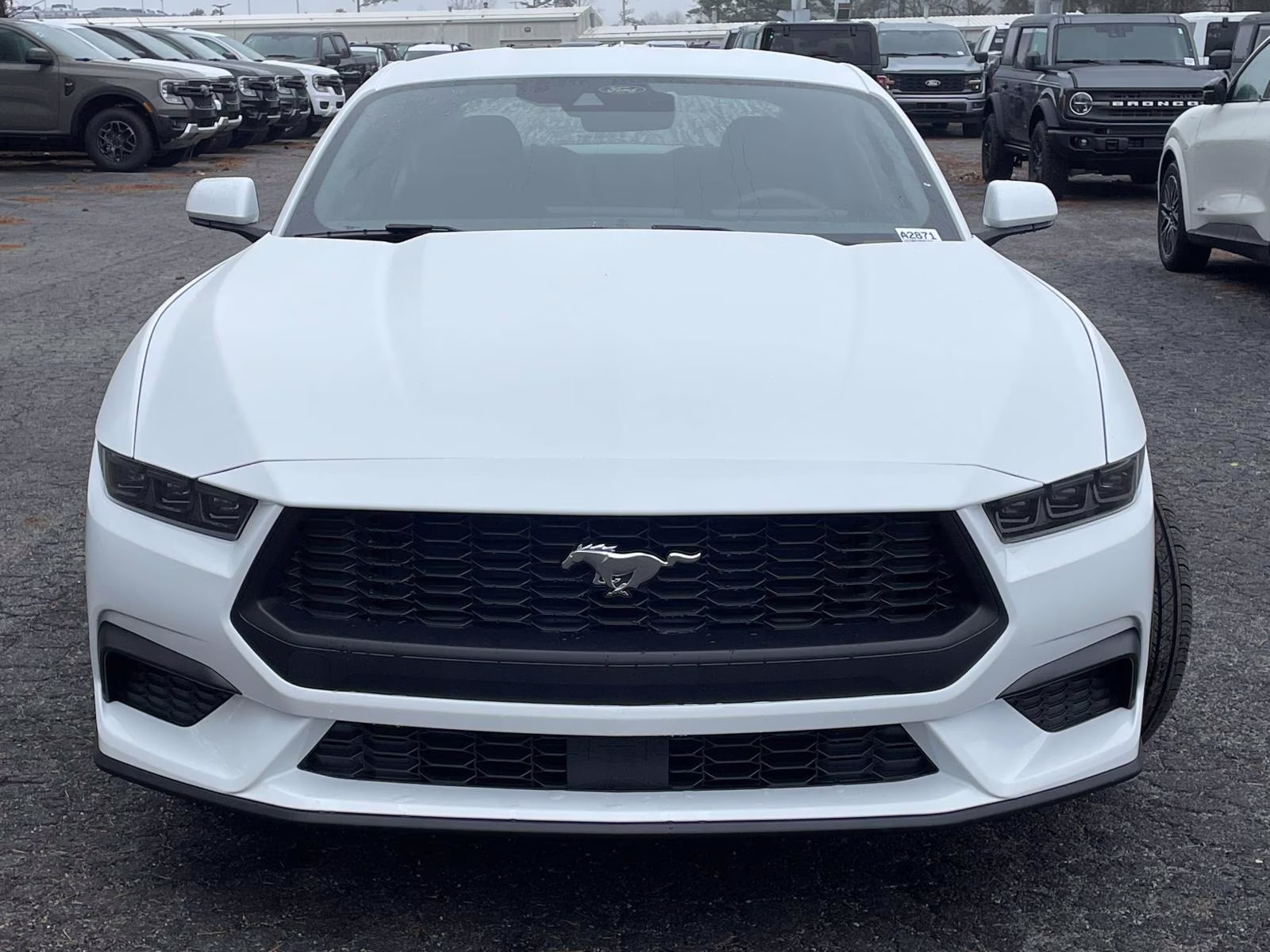 2026 Oxford White Ford Mustang EcoBoost RWD Coupe