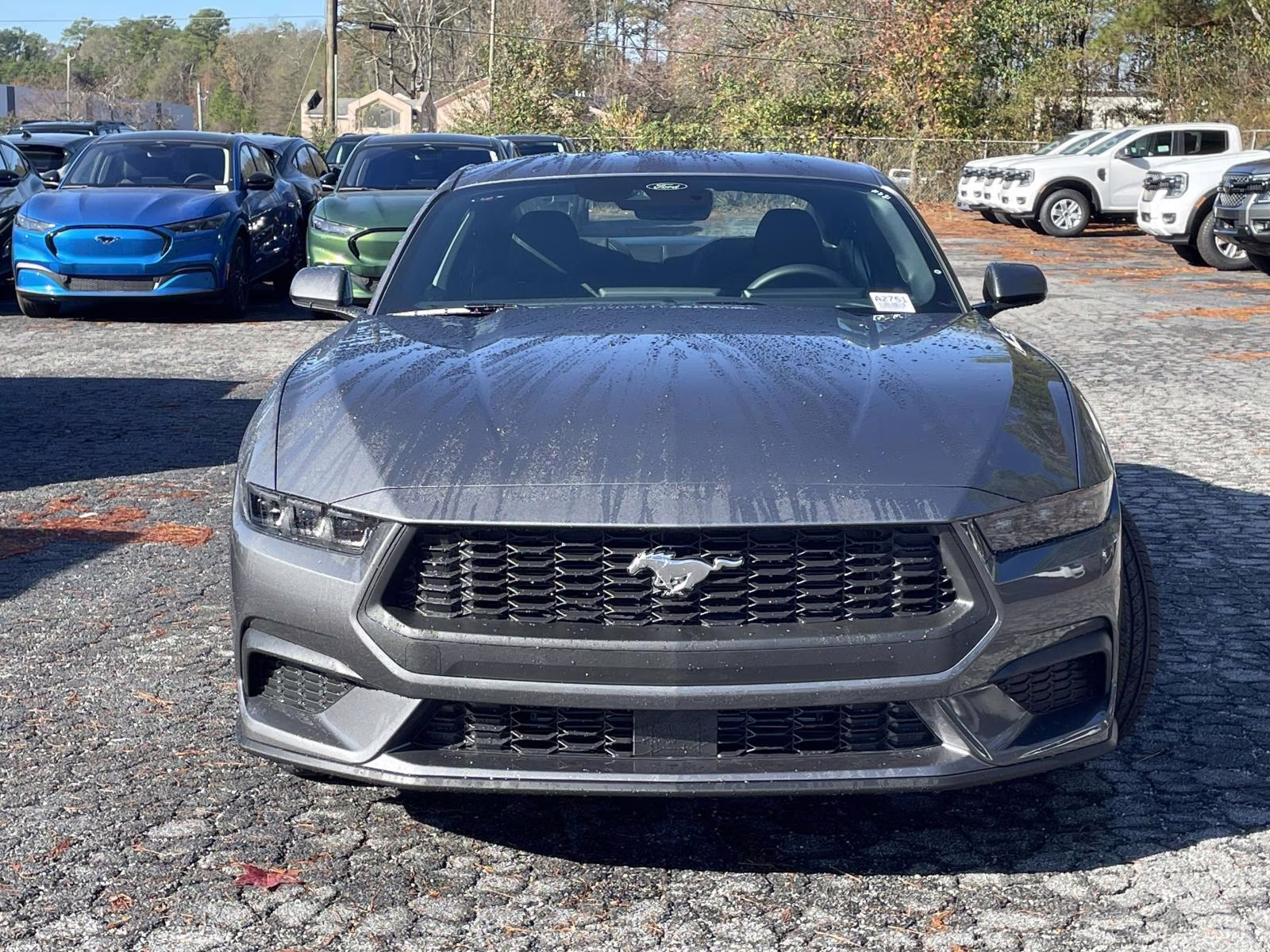 2026 Gray Metallic Ford Mustang EcoBoost RWD Coupe