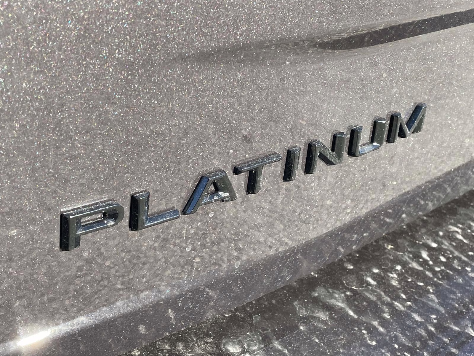 2026 Gray Metallic Ford Expedition Platinum 4X4 SUV