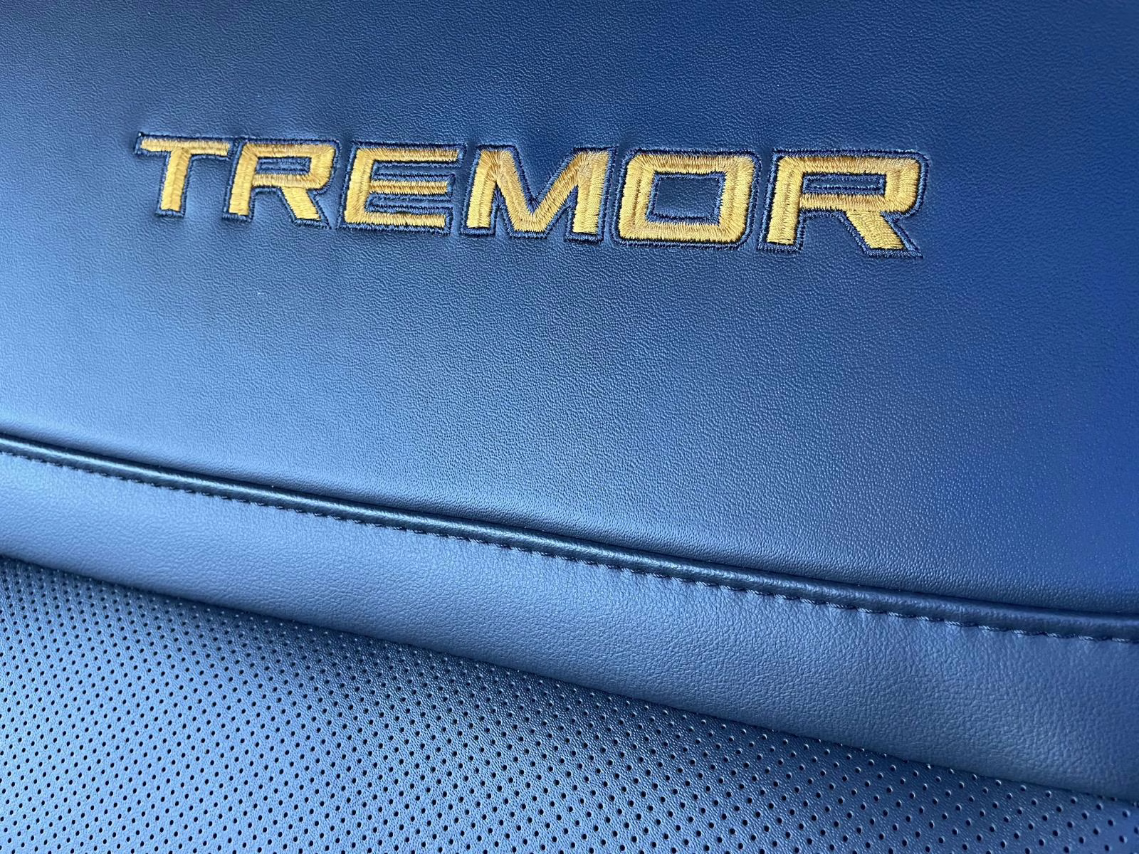 2025 Gray Metallic Ford Expedition Tremor 4X4 SUV