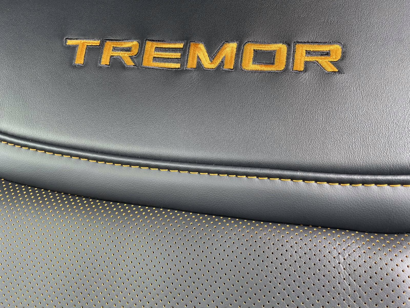 2025 Black Metallic Ford F-150 Tremor 4X4 Truck