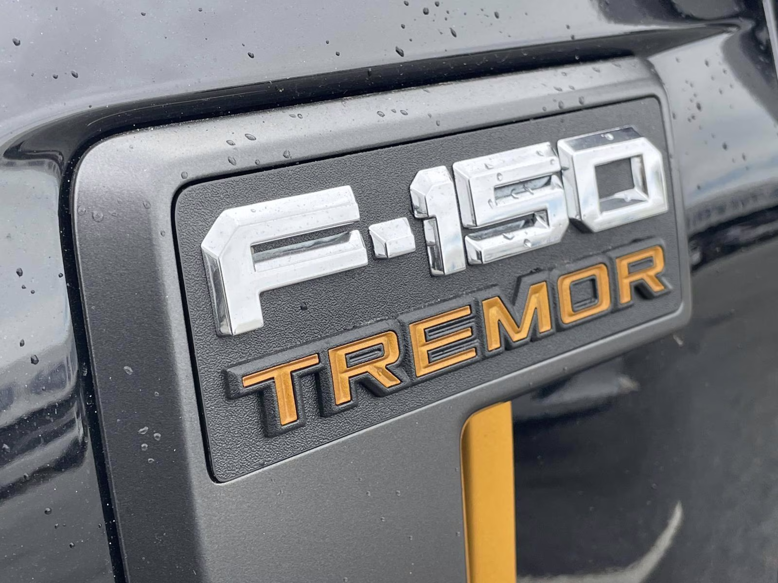 2025 Black Metallic Ford F-150 Tremor 4X4 Truck