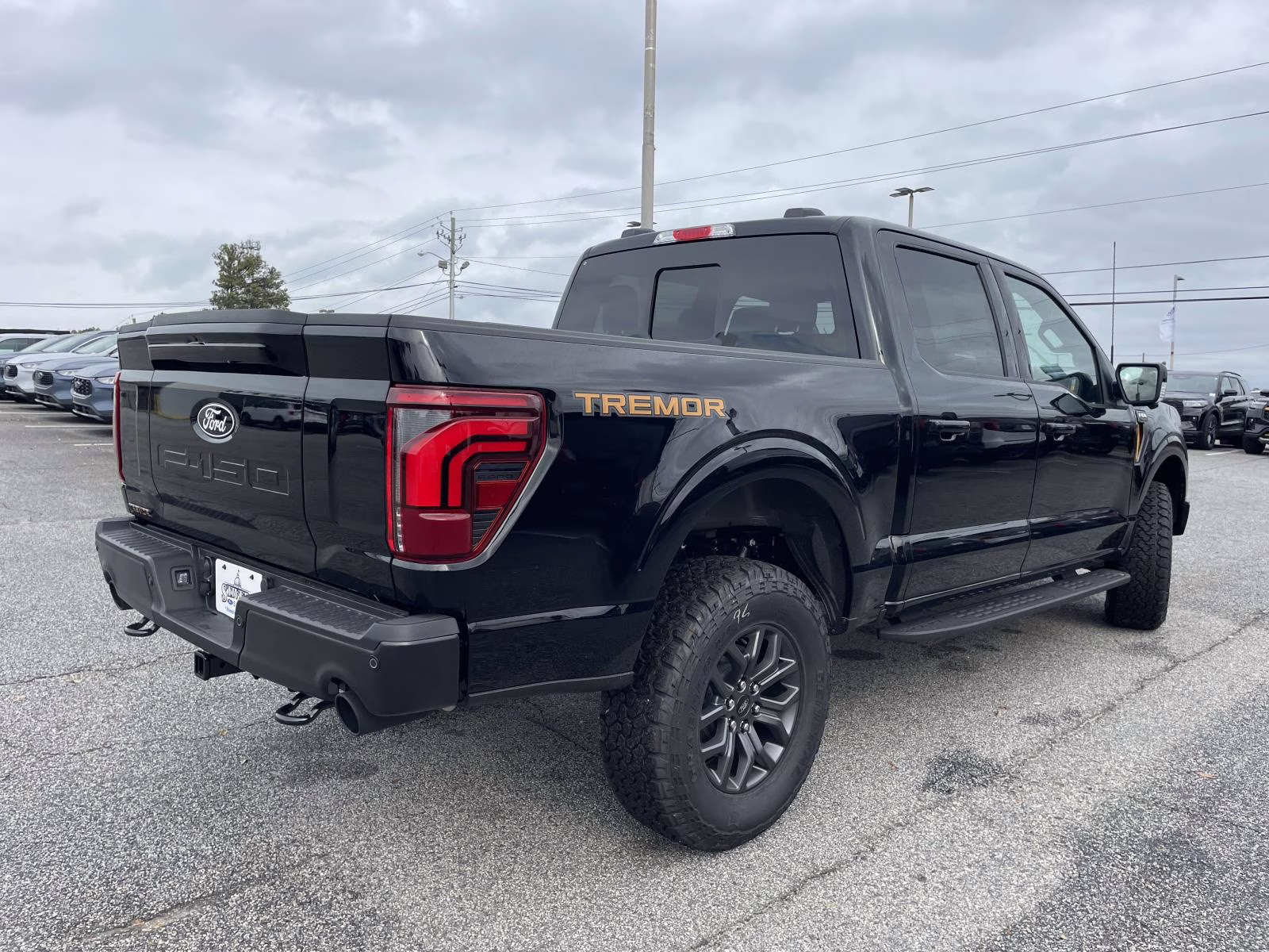 2025 Black Metallic Ford F-150 Tremor 4X4 Truck