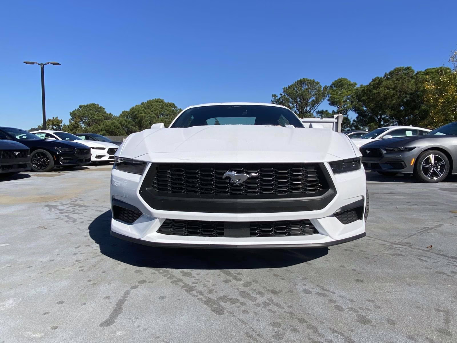 2026 Oxford White Ford Mustang EcoBoost RWD Coupe