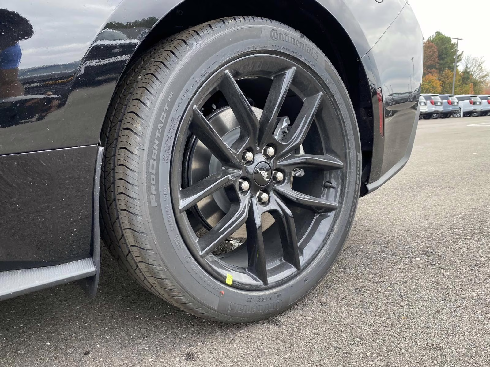 2026 Shadow Black Ford Mustang EcoBoost RWD Coupe