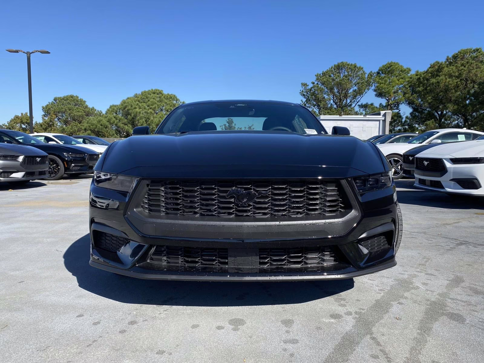 2026 Shadow Black Ford Mustang EcoBoost RWD Coupe
