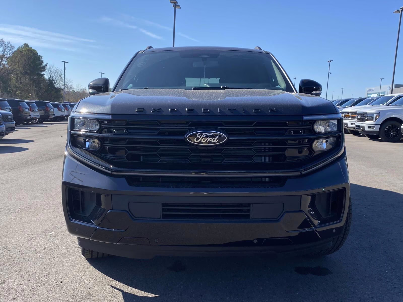 2025 Dark Matter Gray Metallic Ford Expedition Platinum 4X4 SUV