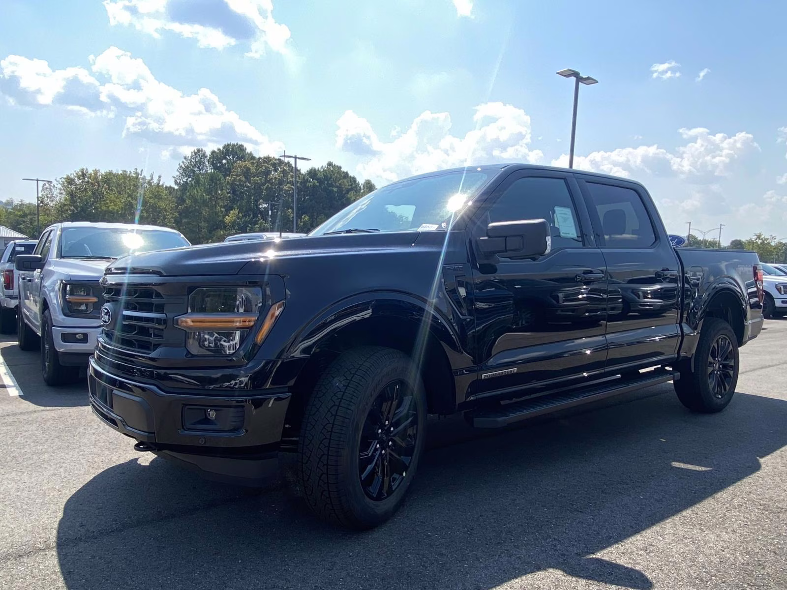 2025 Agate Black Metallic Ford F-150 XLT 4X4 Truck