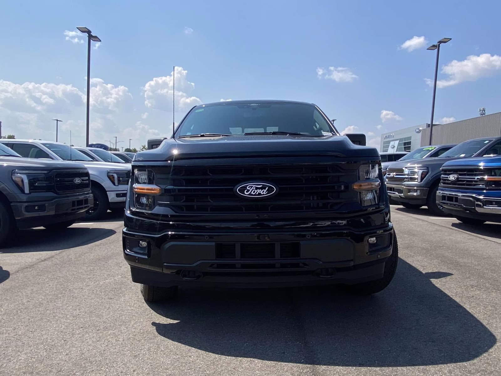 2025 Agate Black Metallic Ford F-150 XLT 4X4 Truck