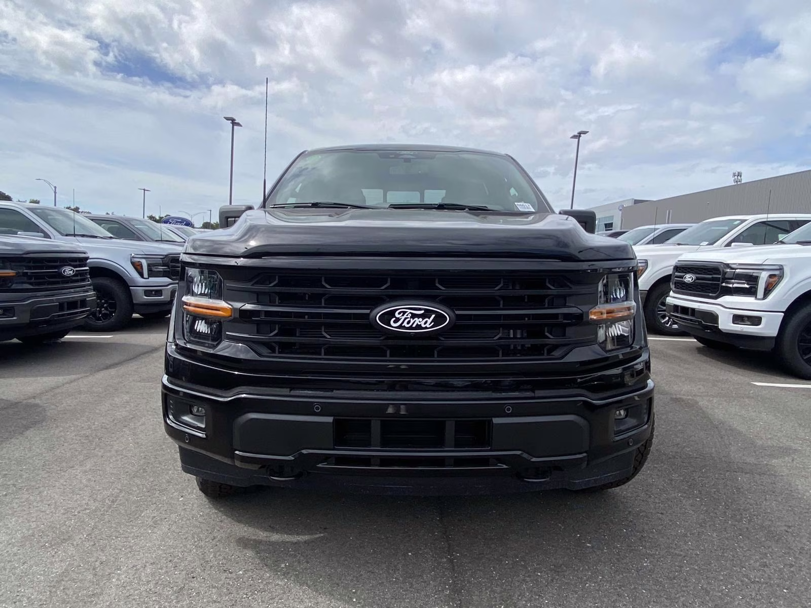 2025 Agate Black Metallic Ford F-150 XLT 4X4 Truck