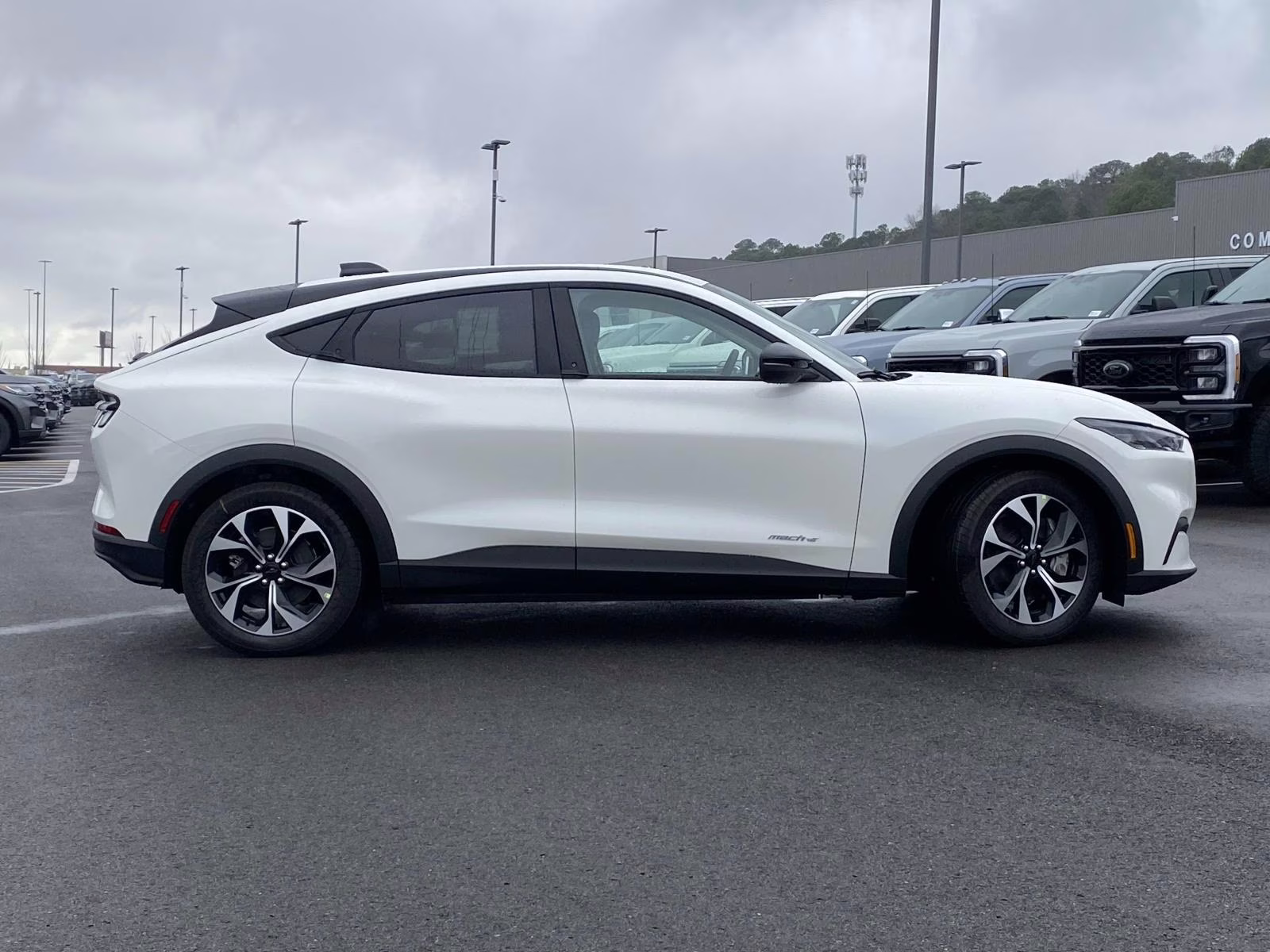 2026 White Metallic Ford Mustang Mach-E Select RWD SUV