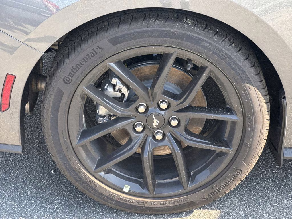 2026 Gray Metallic Ford Mustang EcoBoost RWD Coupe