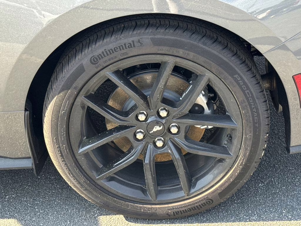 2026 Gray Metallic Ford Mustang EcoBoost RWD Coupe