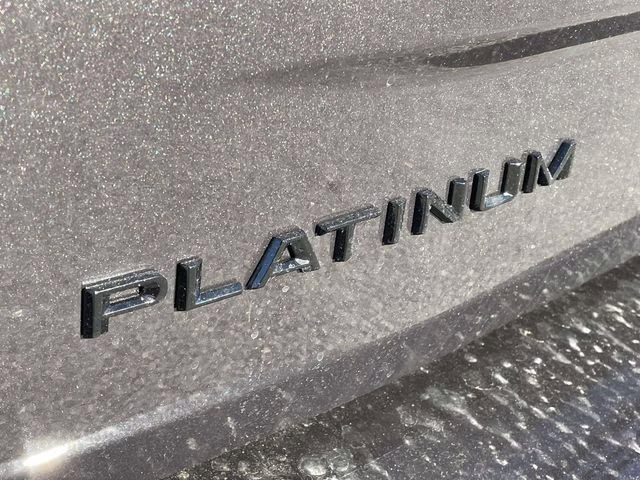 2026 Gray Metallic Ford Expedition Platinum 4X4 SUV