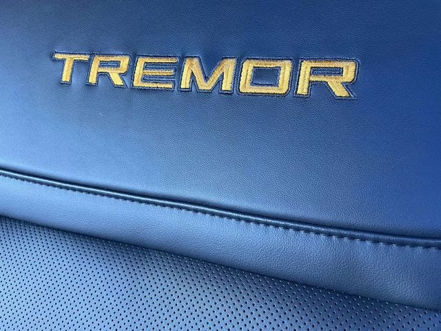 2025 Gray Metallic Ford Expedition Tremor 4X4 SUV