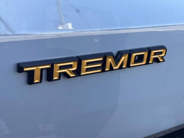 2025 Gray Metallic Ford Expedition Tremor 4X4 SUV