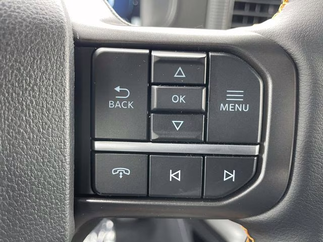 2025 Black Metallic Ford F-150 Tremor 4X4 Truck