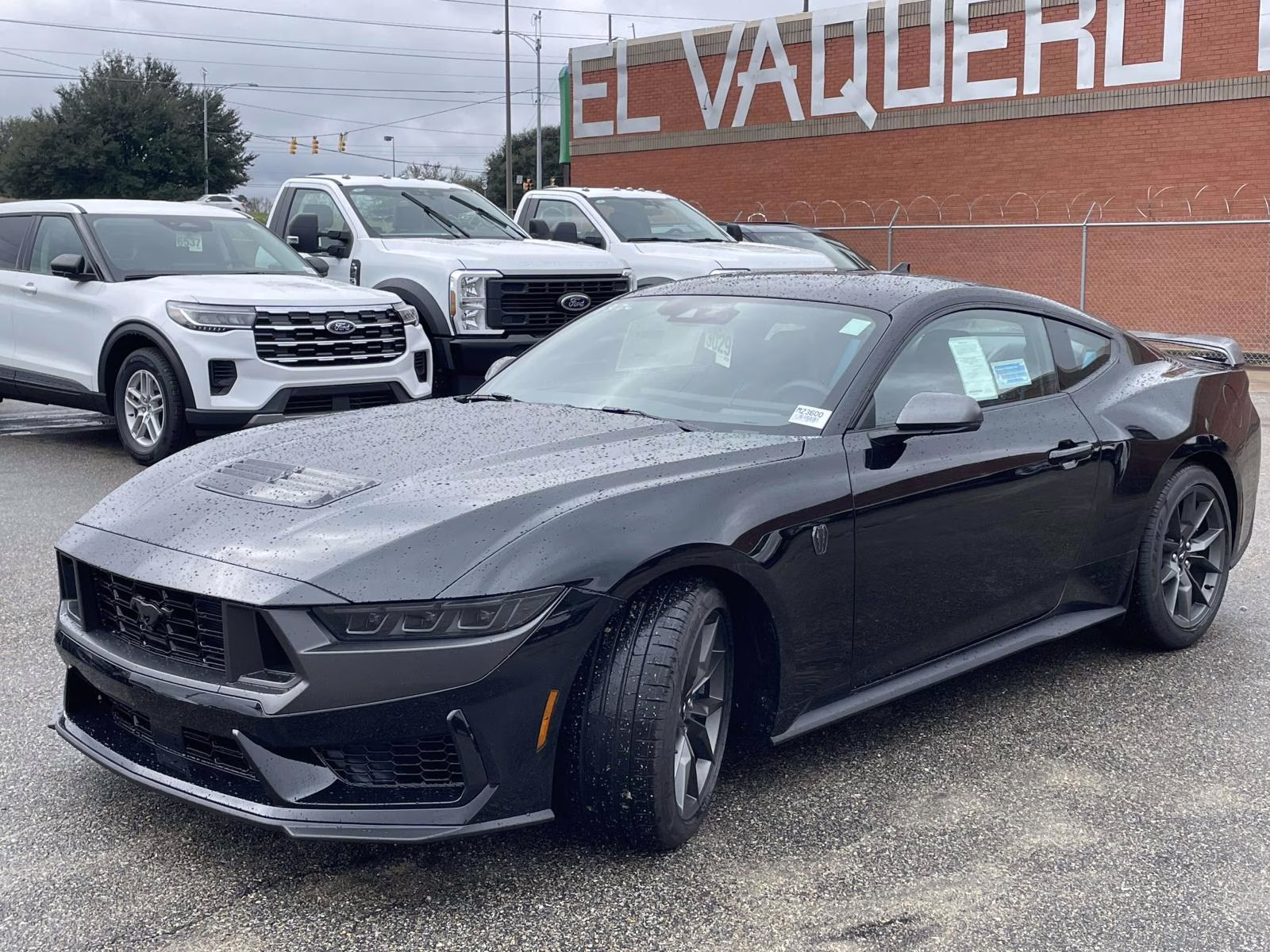 2026 Shadow Black Ford Mustang Dark Horse RWD Coupe