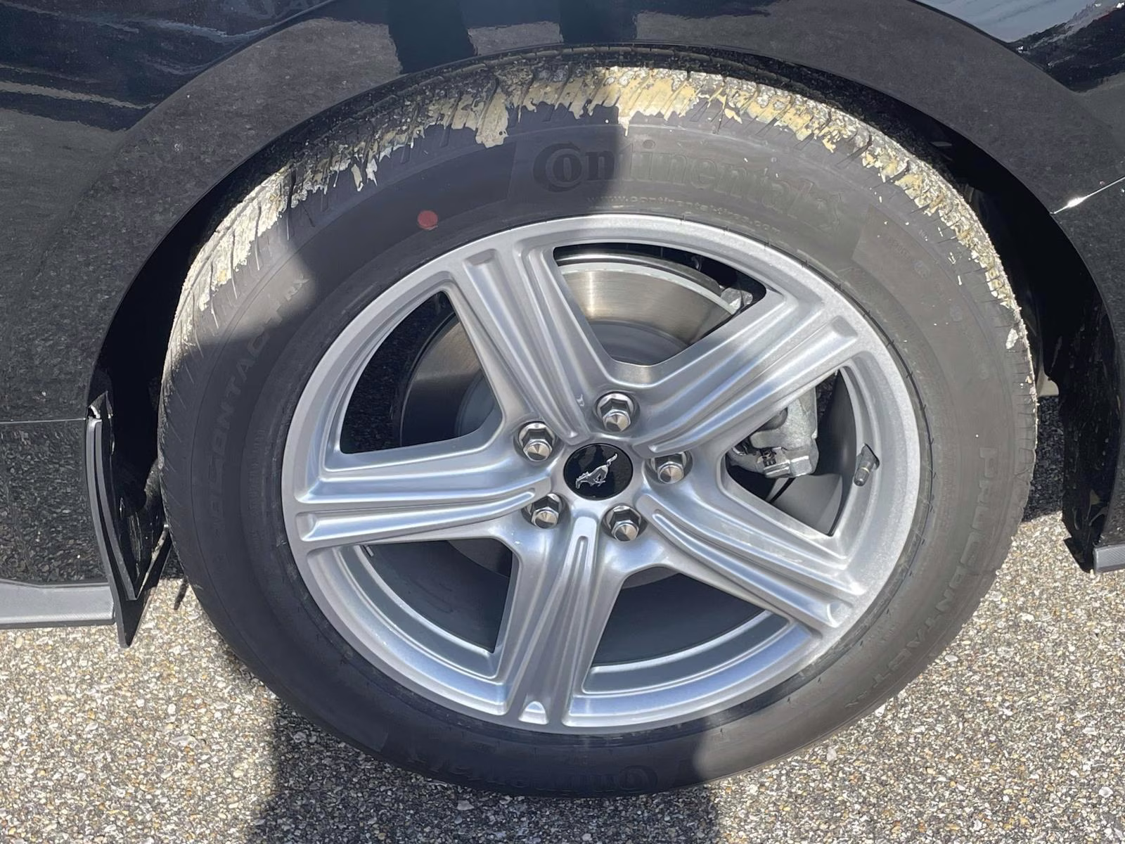 2026 Shadow Black Ford Mustang EcoBoost RWD Coupe