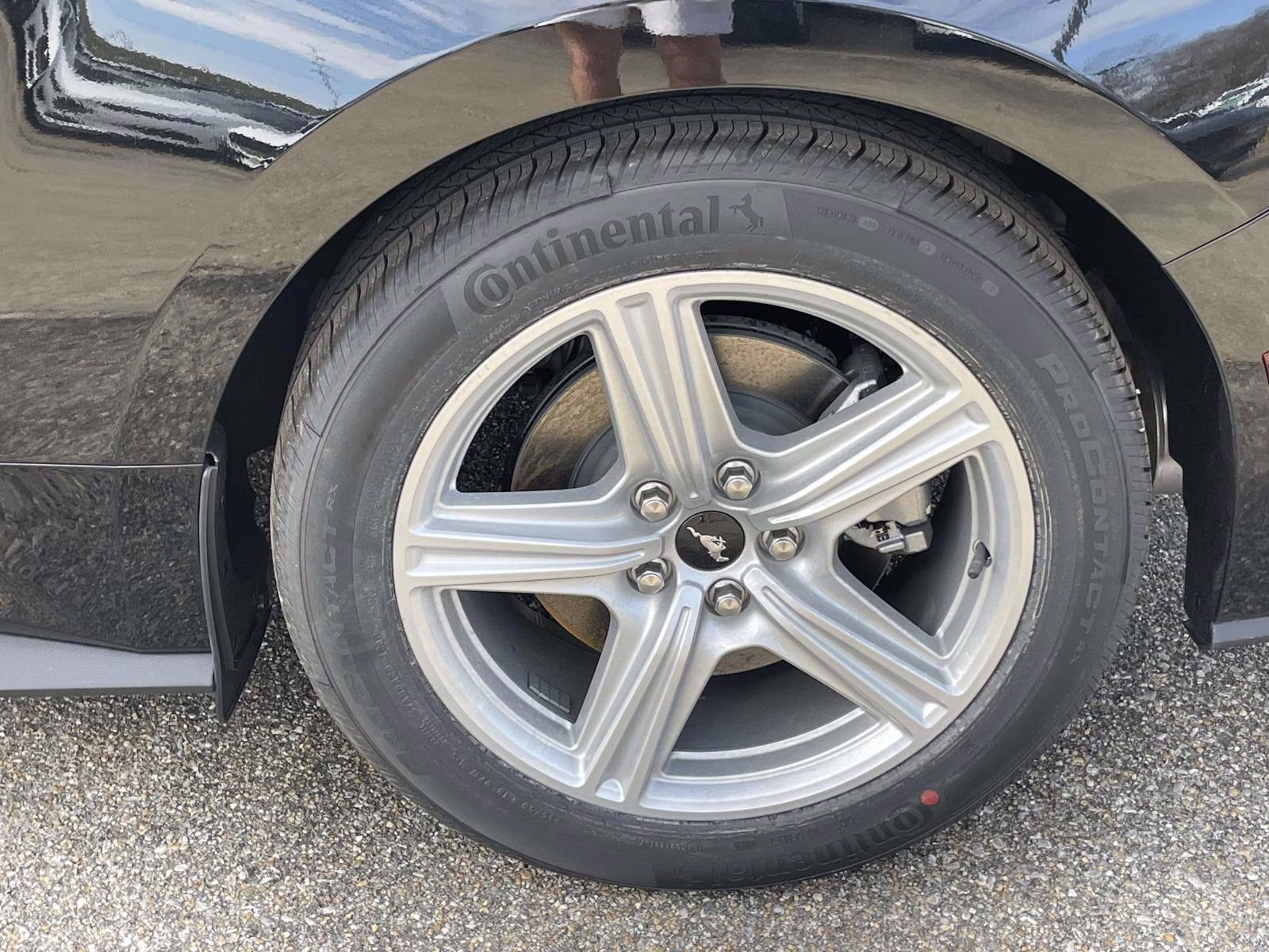 2026 Shadow Black Ford Mustang EcoBoost RWD Coupe