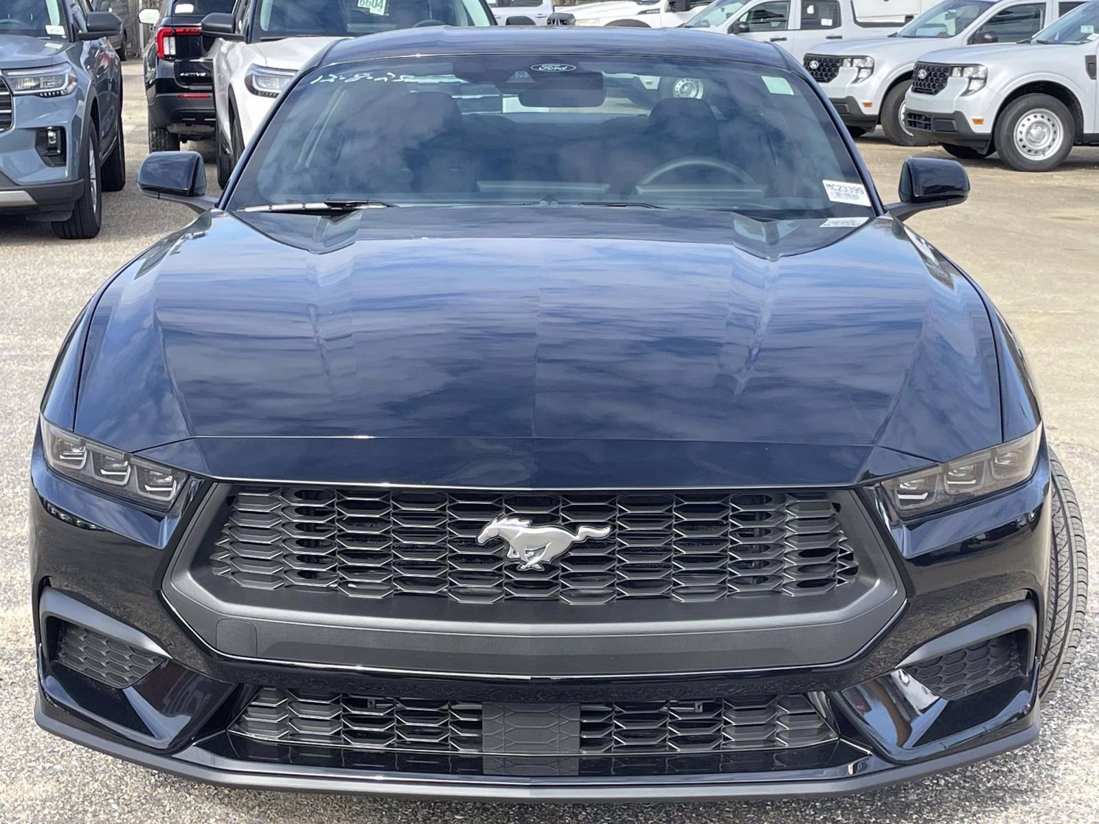 2026 Shadow Black Ford Mustang EcoBoost RWD Coupe