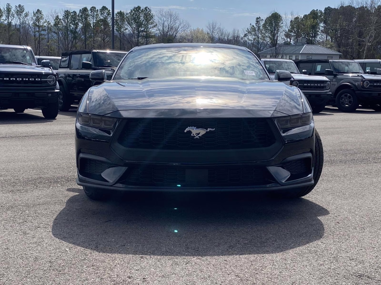 2026 Shadow Black Ford Mustang EcoBoost RWD Coupe