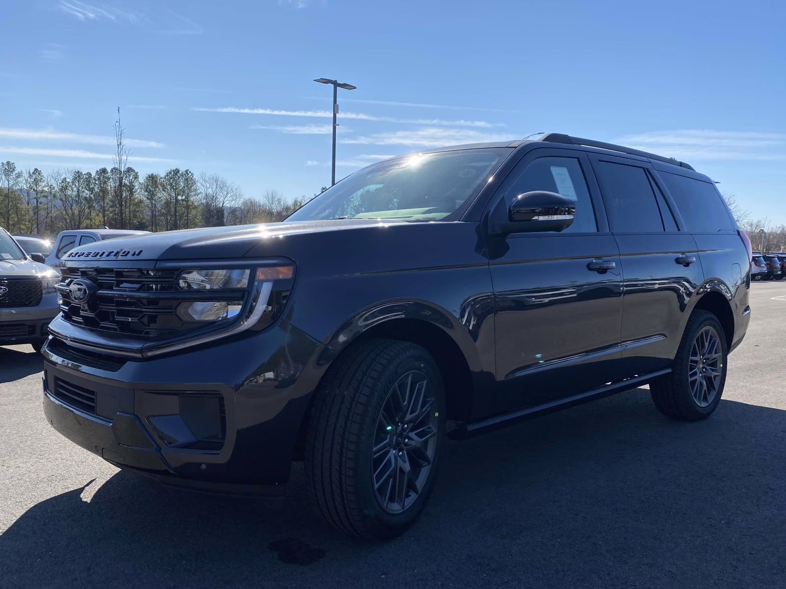 2025 Dark Matter Gray Metallic Ford Expedition Platinum 4X4 SUV
