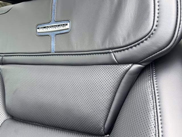 2026 Avalanche Ford Super Duty F-250 SRW Platinum 4X4 Truck