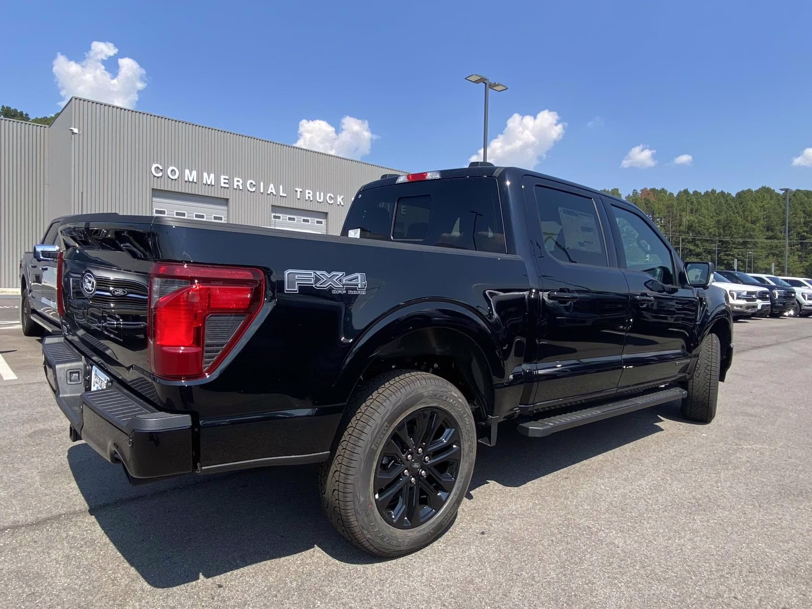 2025 Agate Black Metallic Ford F-150 XLT 4X4 Truck