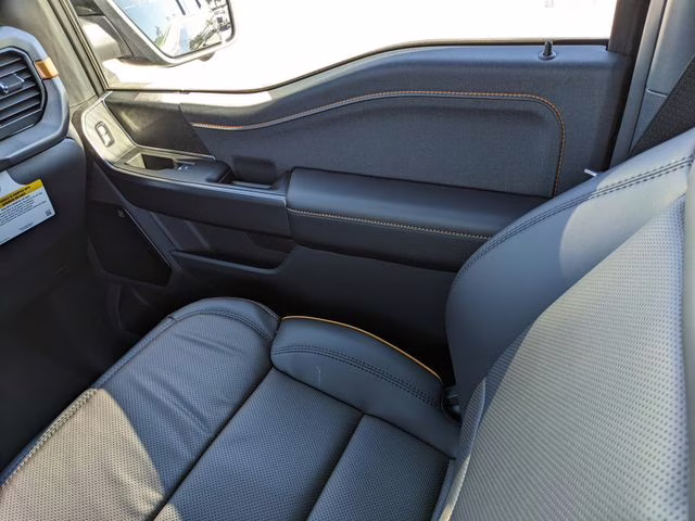 2025 Agate Black Metallic Ford F-150 Tremor 4X4 Truck