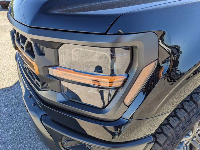 2025 Agate Black Metallic Ford F-150 Tremor 4X4 Truck