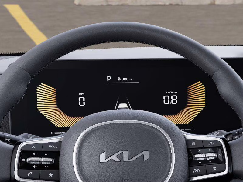 2026 Panthera Metal Kia Carnival LXS FWD Van