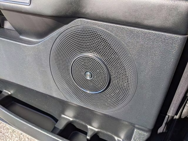 2021 Magnetic Ford Expedition Platinum RWD SUV