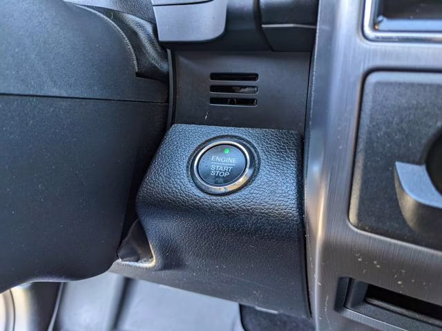 2021 Magnetic Ford Expedition Platinum RWD SUV