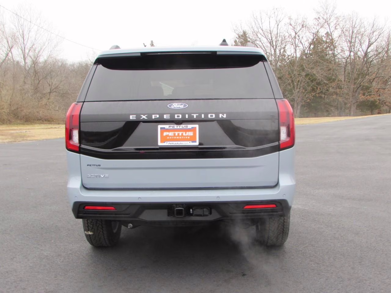 2026 Glacier Gray Metallic Tri-Coat Ford Expedition Active 4X4 SUV