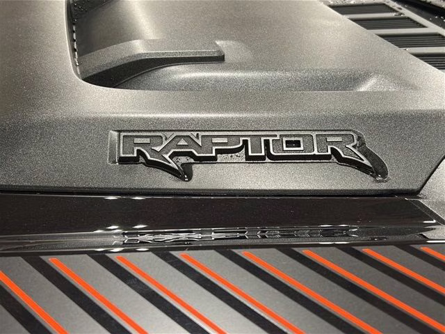 2025 Agate Black Metallic Ford F-150 Raptor 37 Package 4X4 Truck