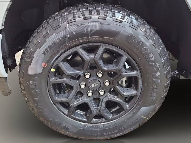 2026 Avalanche Ford F-150 XLT Black Appearance 4X4 Truck